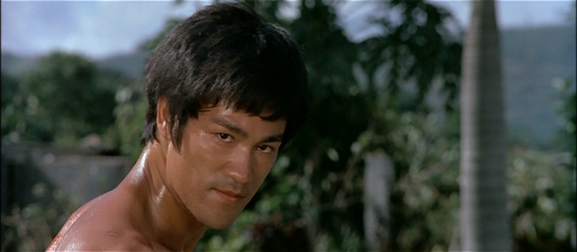 Bruce Lee 02 2011