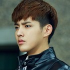 Kris Wu (吳亦凡)